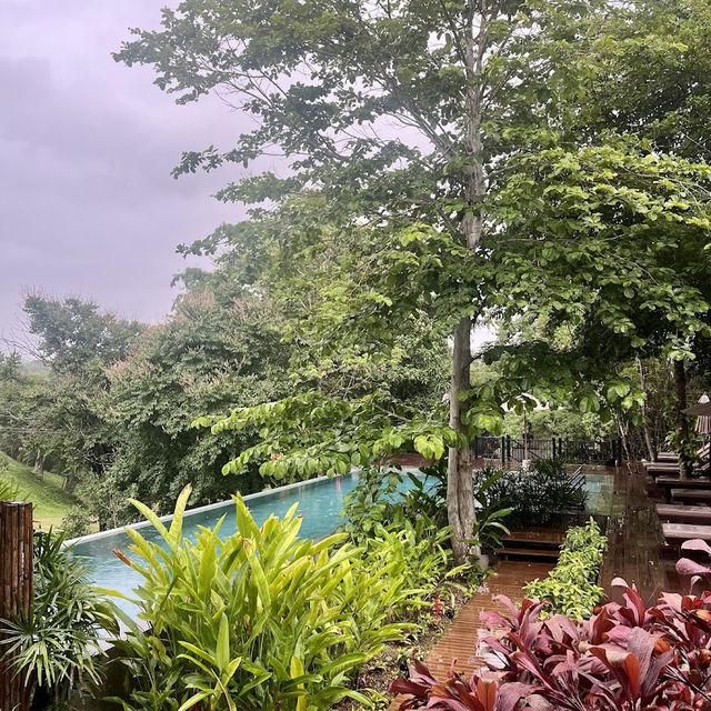 🌳Phapok Eco Resort
