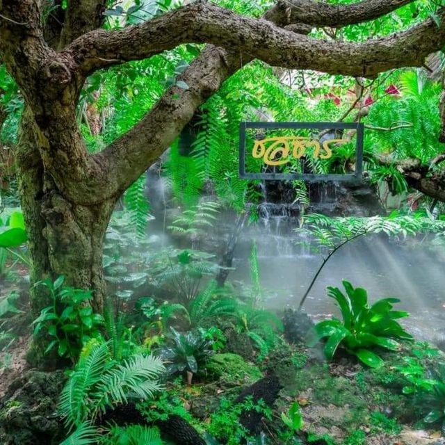 คาเฟ่ใกล้กรุง ครบจบในที่เดียว☕️🏖🏞🐬