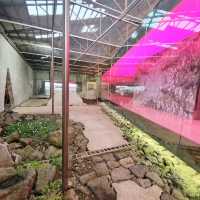 Unique art gallery