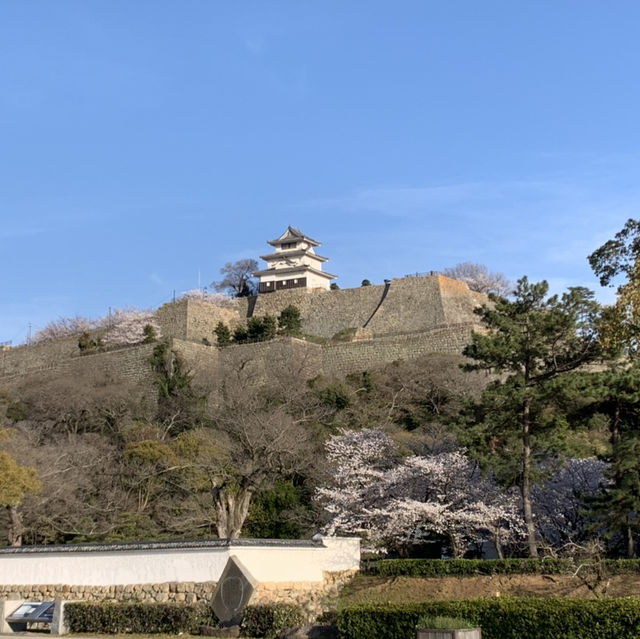 丸亀城　現存十二天守！！