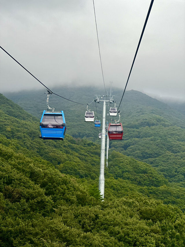 Geoje Panorama Cable Car, South Korea 🚠