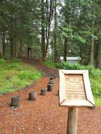 NATURE WALK IN TROLL FOREST, BERGEN