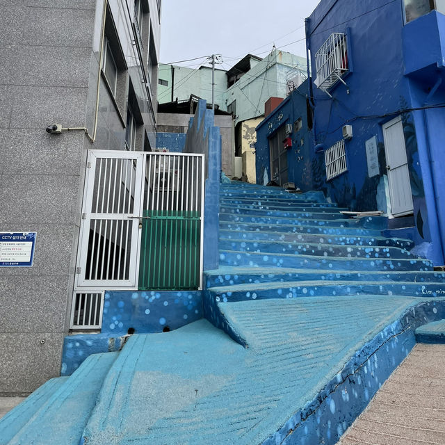 【韓国/釜山】白瀬文化村（ヒンヨウル文化村）🐠