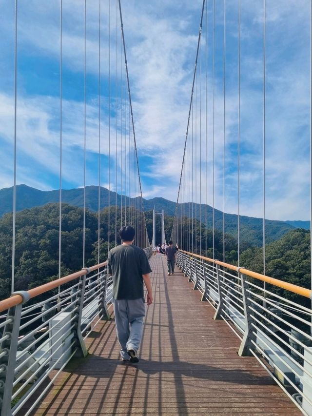 포천 하늘다리