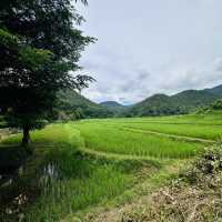 บ้านแม่ทา @ลำพูน