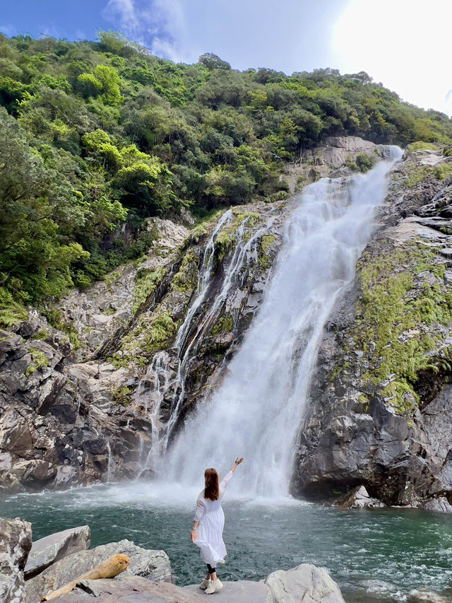 屋久島 ❤︎ ベストシーズン到来❣️世界自然遺産の絶景✨