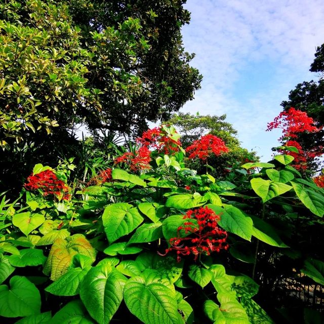 大坑墩清水灣郊野公園