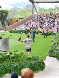 Up Close with Animals at Bird Paradise