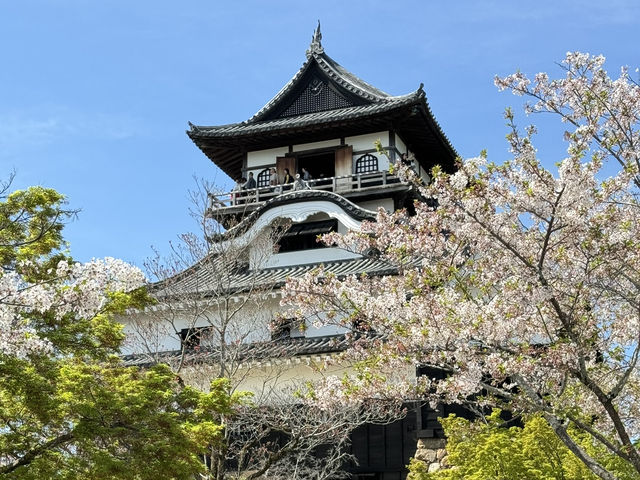 尋找櫻花·名古屋犬山城之旅