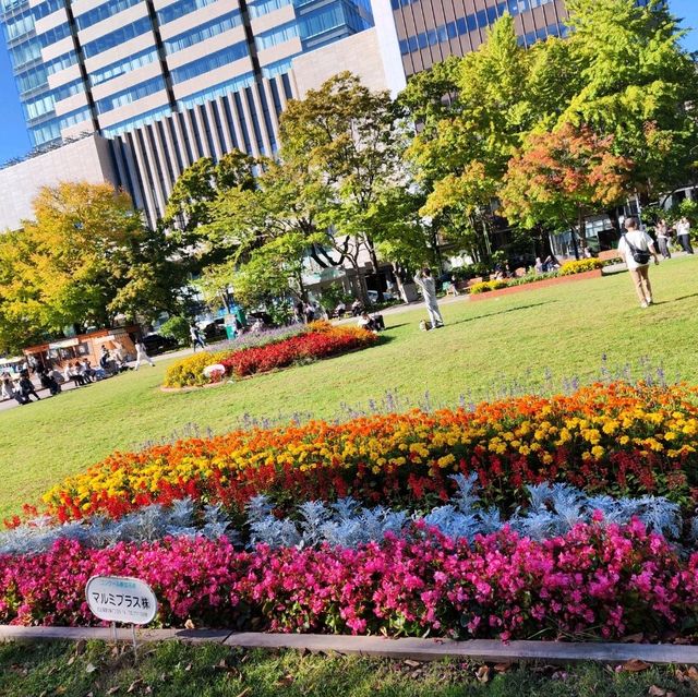 北海道之旅-札幌市區自由行-大通公園/豐平館/札幌天文臺/計時台