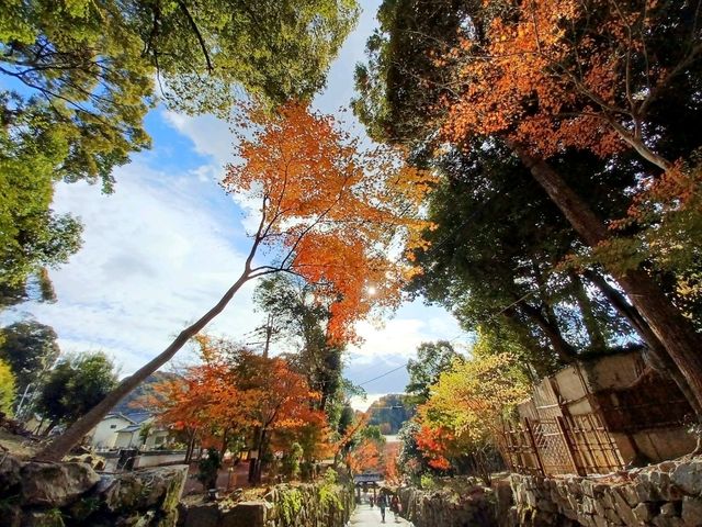 【興聖寺:京都府宇治市】秋には美しい紅葉が見れるお寺🍁