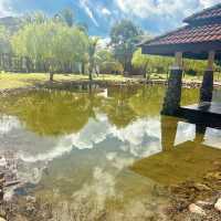 Rejuvenating Experience at Ayer Hangat Hot Springs