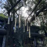 穿越百年 我在深圳走進了二十四史書院的時光隧道