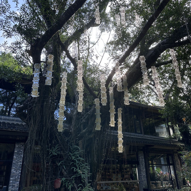 穿越百年 我在深圳走進了二十四史書院的時光隧道
