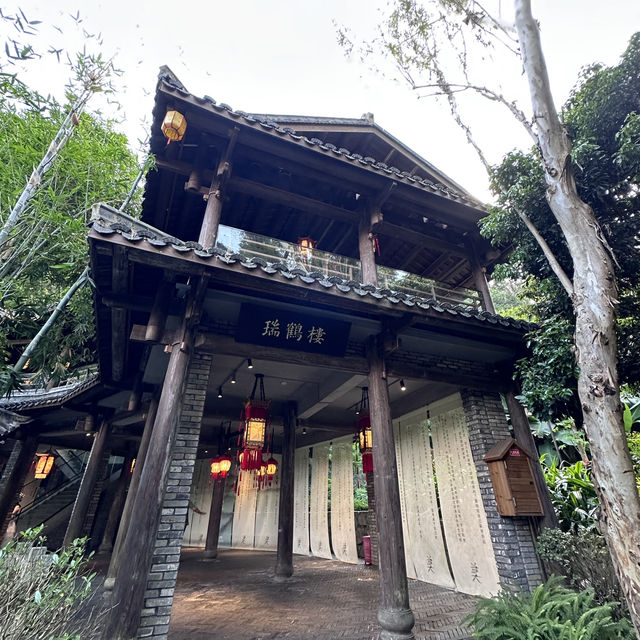 穿越百年 我在深圳走進了二十四史書院的時光隧道