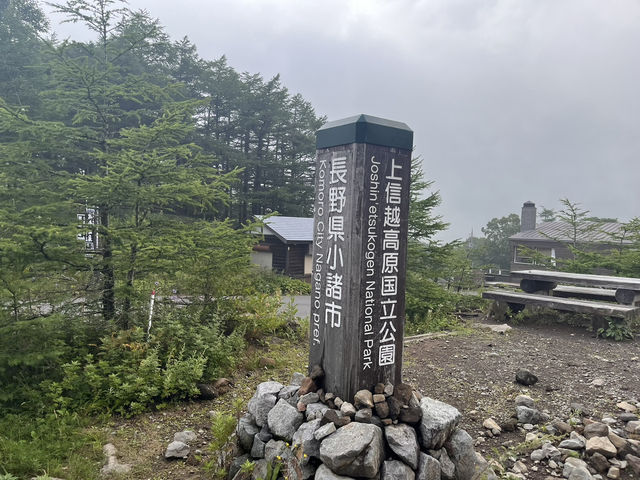 チェリーパークラインで高峰高原をドライブ@長野🛣️