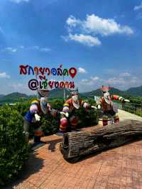 Sky Walk วิวแม่น้ำโขง