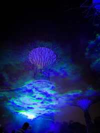 Gardens by the Bay Light Show 🇸🇬 