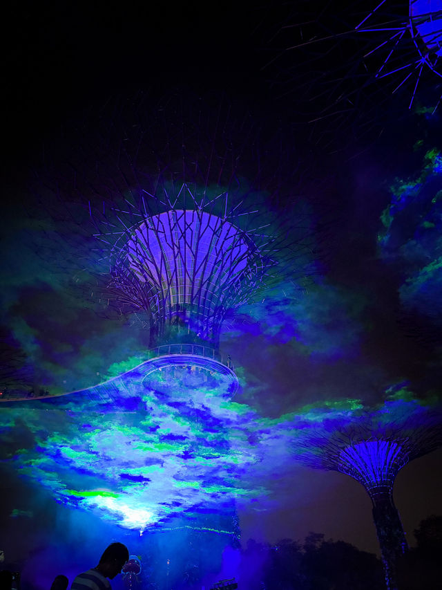 Gardens by the Bay Light Show 🇸🇬 