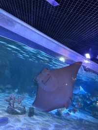 เที่ยว SEA LIFE Bangkok กัน!!