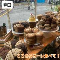 【韓国】韓国に来たら食べてみてほしいスコーンが美味しいお店🍪