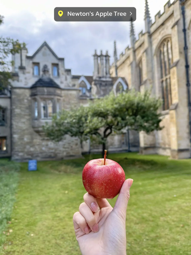 เที่ยวแคมบริดจ์(Cambridge)หนึ่งวัน เก็บครบทุกที่