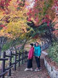 가장 빠른 단풍을 볼수 있는 시월의 단풍여행지🍁