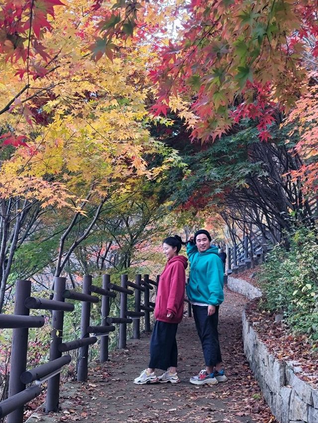 가장 빠른 단풍을 볼수 있는 시월의 단풍여행지🍁
