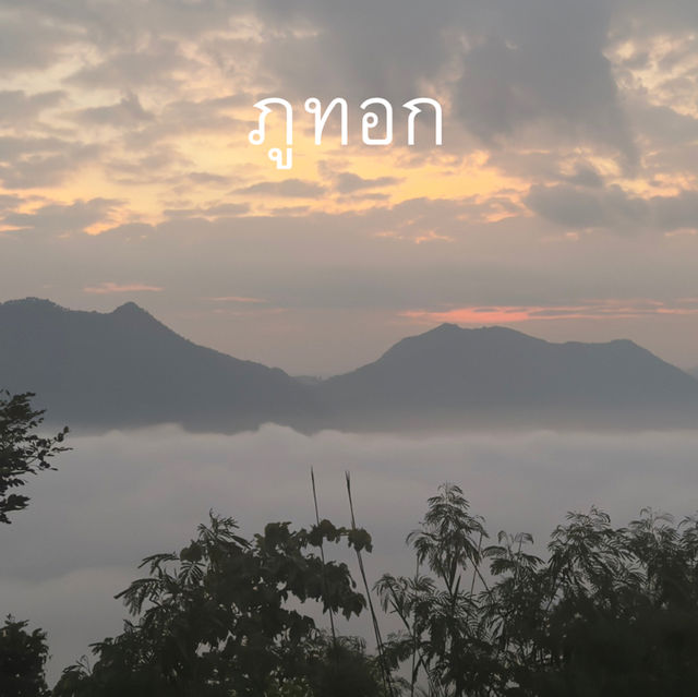 🏜️ชมพระอาทิตย์ขึ้น และทะเลหมอก ภูทอก