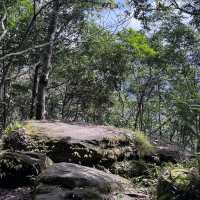 ⛰️ผาเดียวดาย เขาใหญ่🍃
