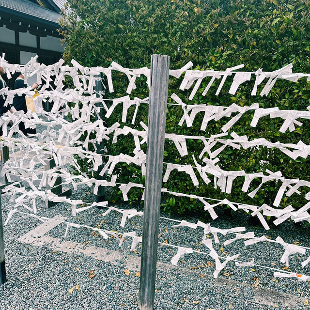 ⛩️超經典而壯觀的代表鳥居⛩️