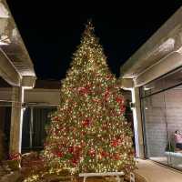 역시 크리스마스 카페는 어가길베이커리🎄