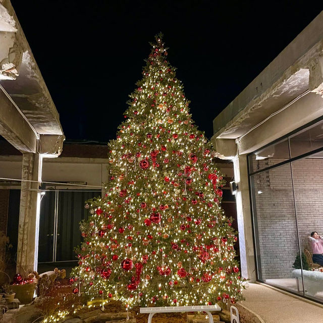 역시 크리스마스 카페는 어가길베이커리🎄