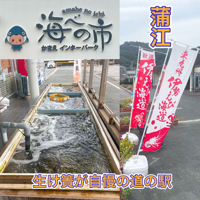 【佐伯】貝類、お刺身🐟が安い！新鮮！✨