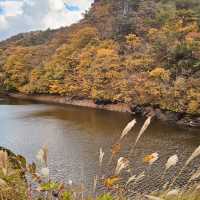 Jusanji: A Picturesque Agricultural Reservoir