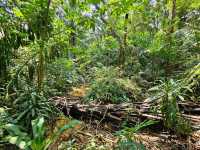 Hidden Gem: Windsor Nature Park