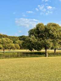 자연을 느끼기 완벽한 여유로운 공원 익산 미륵사지🌳