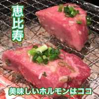【恵比寿】1人前の量が多い✨ 食べログ 百名店のホルモン屋さん✨