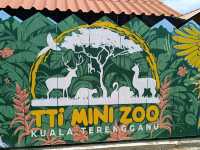 Place for Kids! TTI Mini Zoo