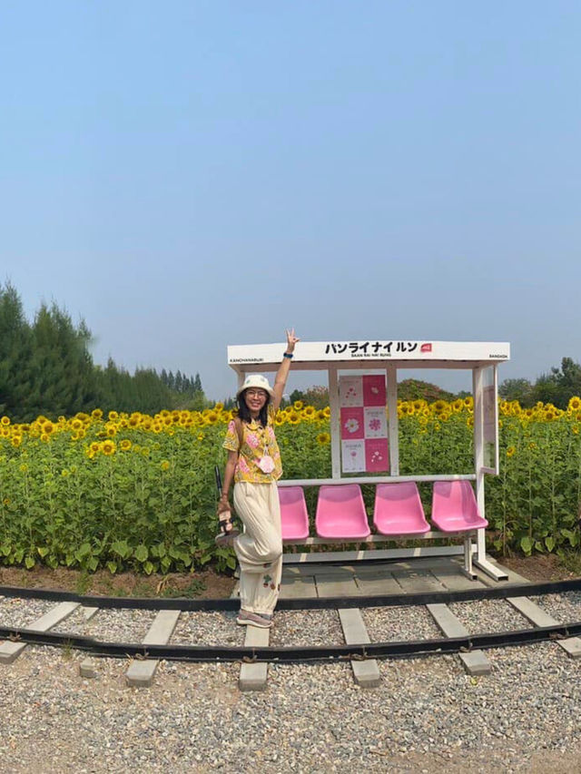 🤩 Baan Rai Nai Rung