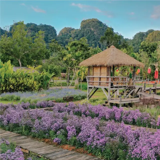 🎉 ชมสวนดอกไม้วิวภูเขา 🌷 ธารคีรี กระบี่