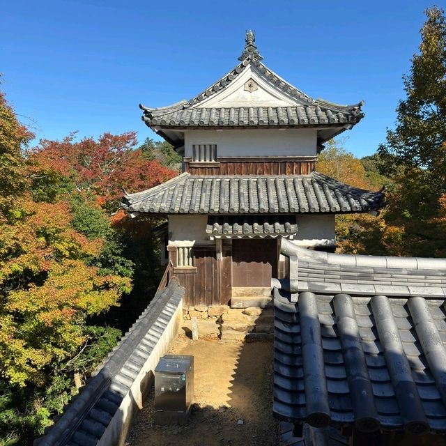 岡山景點｜空中之城．日本唯一山城天守閣—備中松山城（高粱城）