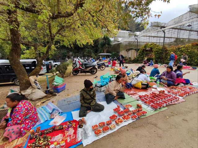 ธรรมชาติงดงาม ในหุบเขาสลับซับซ้อน บนยอดดอยอ่างขาง