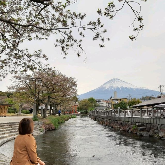 ศาลเจ้า Fujisan Hongu Sengentaisha