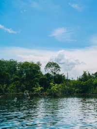 🏞️ พายคายัคสัมผัสธรรมชาติของคลองน้ำใส