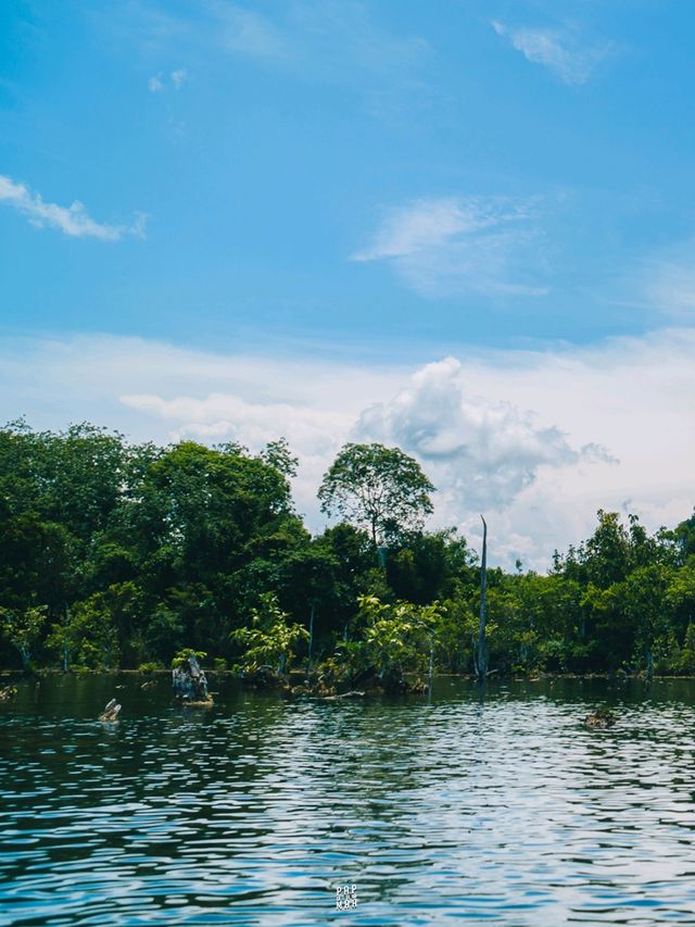 🏞️ พายคายัคสัมผัสธรรมชาติของคลองน้ำใส