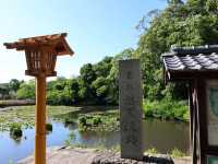 福岡城全攻略☺️值得一去的歷史遺跡❤️
