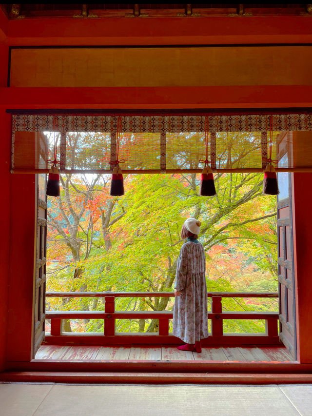 奈良観光🦌十三重塔と紅葉のコラボが素敵な談山神社⛩️ 奈良観光🦌十三重塔と紅葉のコラボが素敵な談山神社⛩️