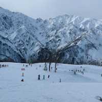 🇯🇵【長野県】Hakuba47ウィンタースポーツパーク！(^^)