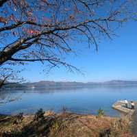 秋田縣能量景點，日本最深的湖泊：田澤湖